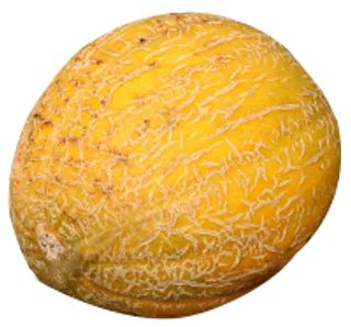 63_melon_PNG14364