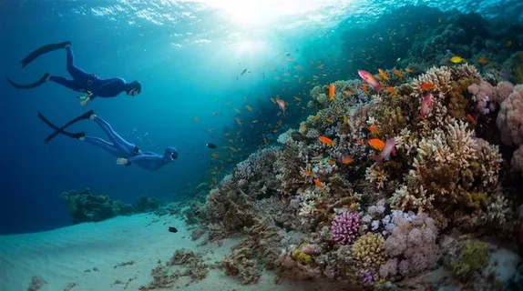 深入到海底探索的潜水人物高清摄影图片 深入到海底探索的潜水人物高清摄影图片