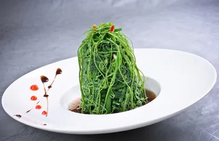 LCSC2388沙姜龙须菜