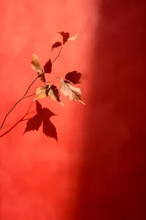 红色秋叶大气背景