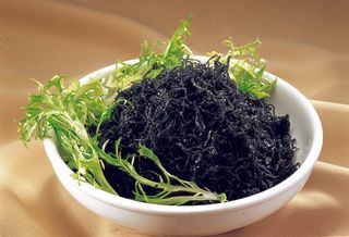 LCSC3325鲜椒发菜