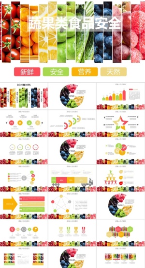 食品安全健康PPT模板ppt模版预览图