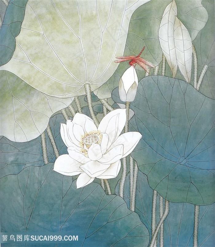 蜻蜓莲花高清中式装饰画图片素材