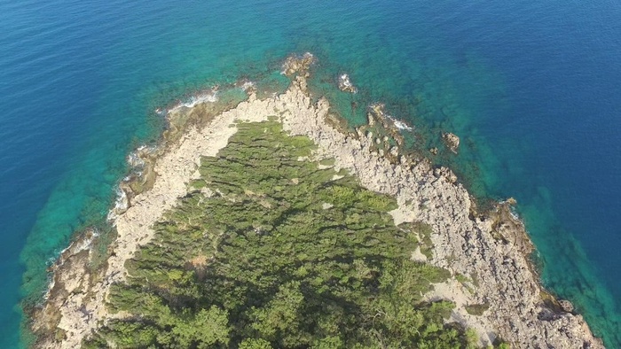 有植被和蓝色湖泊的海岸线