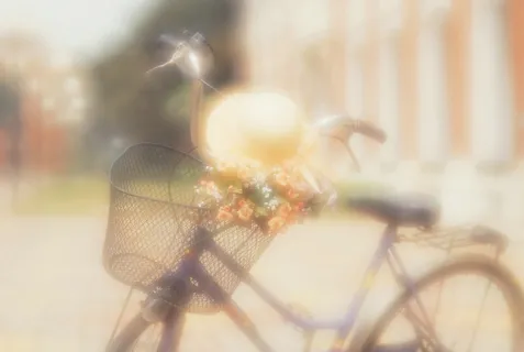 图片设计素材背景2.14情人节