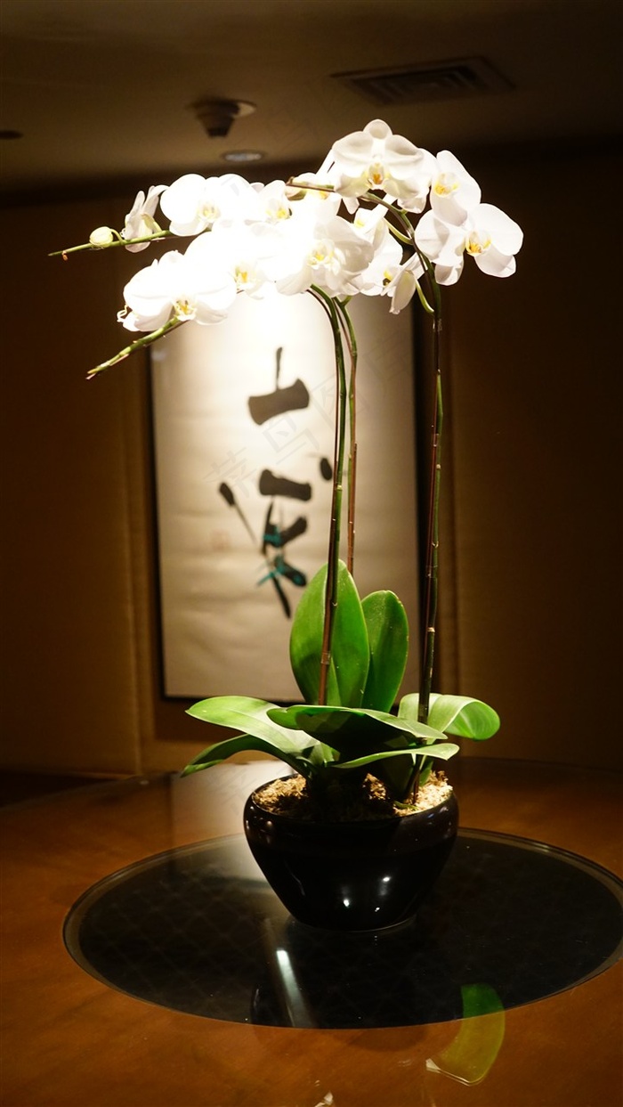 禅意盆景字画特写摄影原图