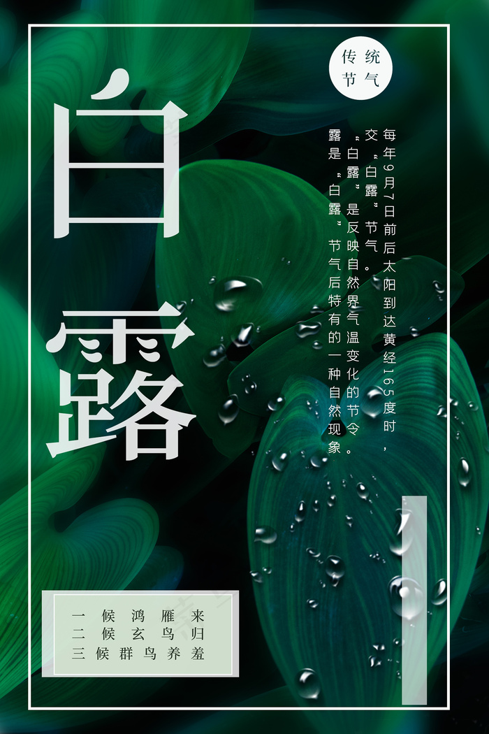 创意中国风白露节传统节气海报psd模版下载