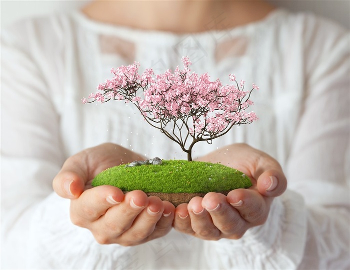 手捧着植物建筑的人物素材图片