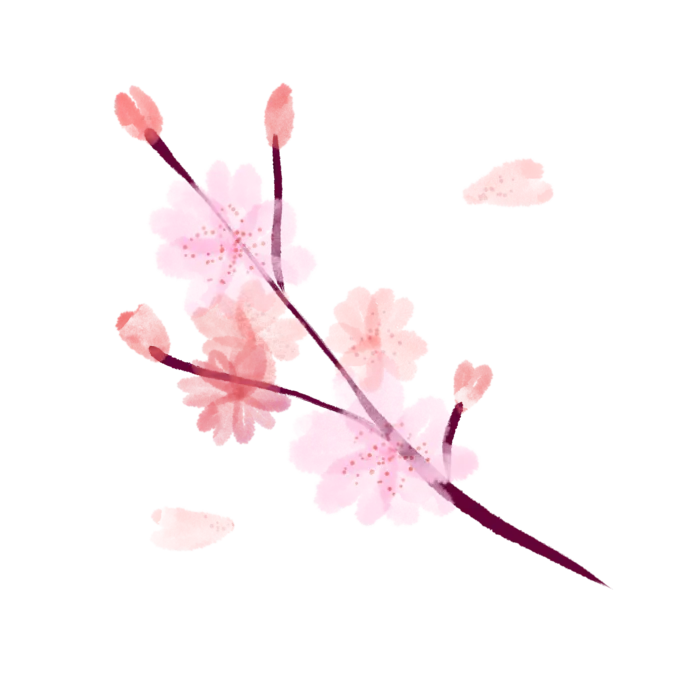 春天浪漫粉红色樱花手绘樱花梅花桃花花朵图片PNG免扣素材