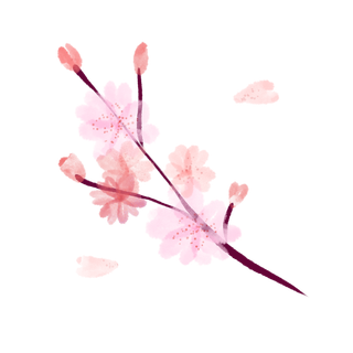 春天浪漫粉红色樱花手绘樱花梅花桃花花朵图片PNG免扣素材