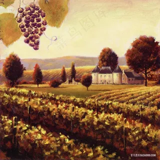 田园葡萄乡村美景油画