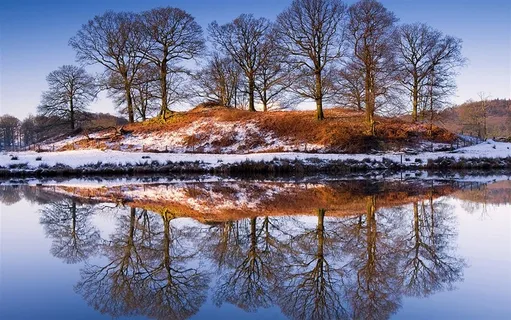 湖水大树雪景 湖水大树雪景