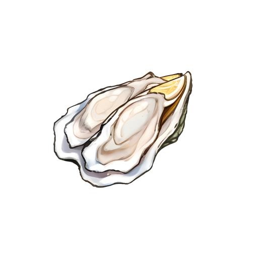 生蚝免抠(2048x2048)