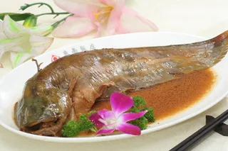 炖野生鲶鱼 (3)