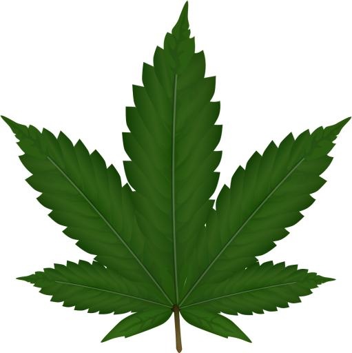 大麻PNG免抠(1279x1280)