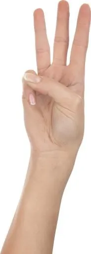 三指手 手 PNG，手图像免费免抠(999x2771)