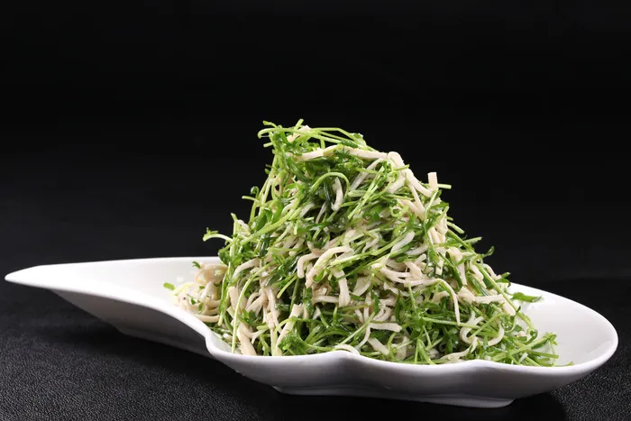 银丝柳芽菜 (1)