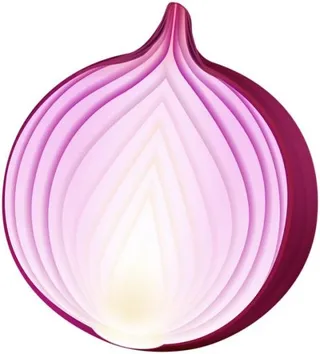洋葱免抠