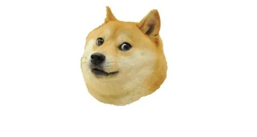 总督 (meme) PNG 图像免抠(500x268)