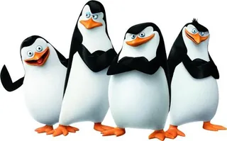 马达加斯加企鹅 PNG免抠