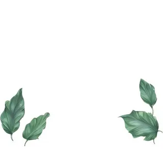 叶子绿叶花草免抠