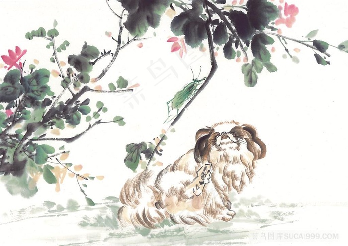 昆虫花草大图jpg素材