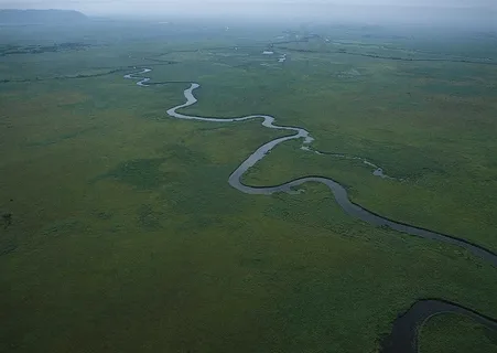绿树山水 7 绿树山水 7