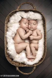 双胞胎小宝宝百日照图片宝宝图片