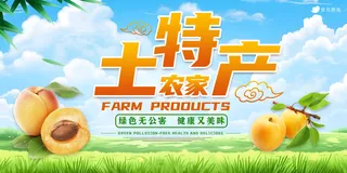 蓝色大气简约农产品土特产展板