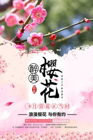 创意浪漫唯美风格创意樱花节海报