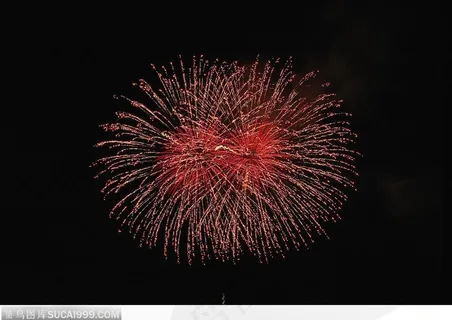 绚丽烟花-两朵漂亮的烟花