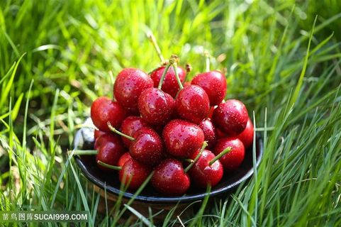 一碗樱桃车厘子放在草地上水果图片