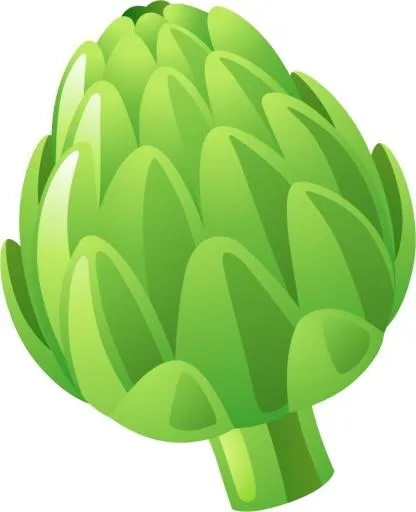 洋蓟 PNG免抠(800x983)