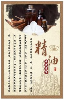 医中医养生保健古典展板精油