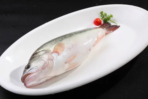 鲈鱼 (1)