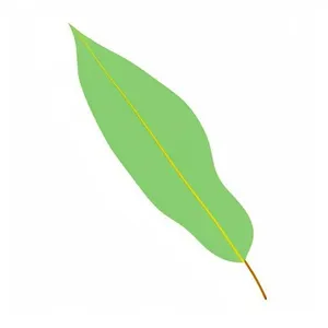一片绿色叶子png免抠