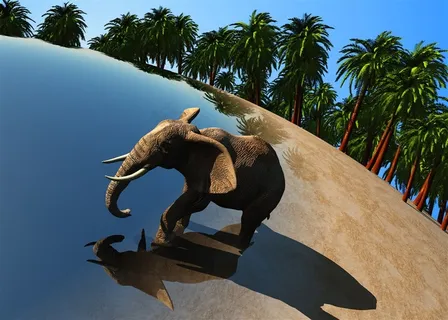 水边的大象高清素材