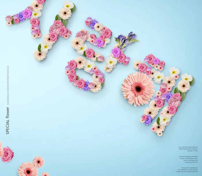 韩式花卉节日背景psd模版下载