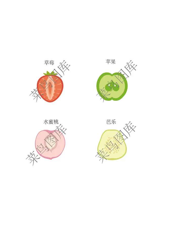 草莓，苹果，水蜜桃，芭乐--简图ai矢量模版下载