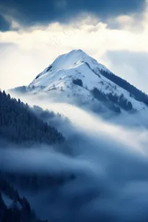 雪景树林阳光背景 雪景树林阳光背景