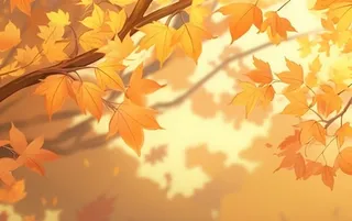 秋季金色枫叶树枝阳光倒影背景