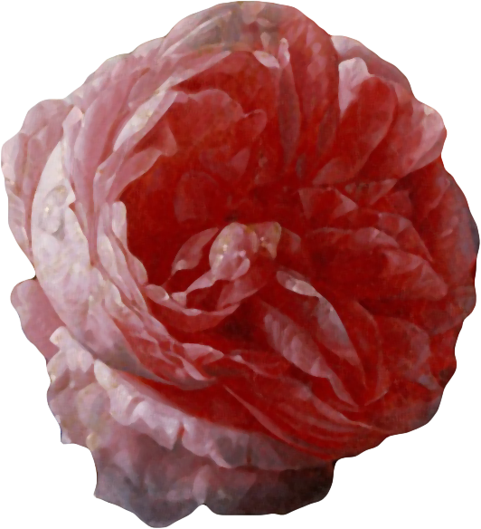 复古油画质感宫廷花卉植物花朵鲜花拼贴图案PNG免抠图片设计素材