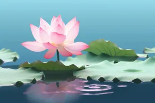 荷花荷叶摄影图