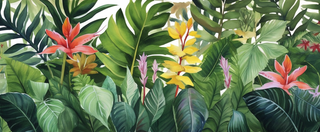 绿植花朵观赏类卡通插画素材