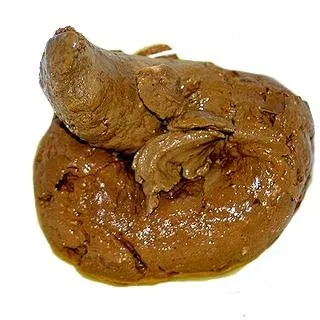 大便 PNG免抠(320x320)