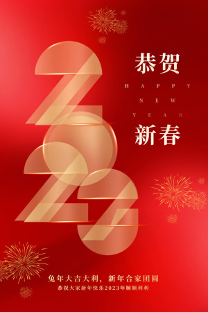 红色喜庆兔年新年促销海报 4