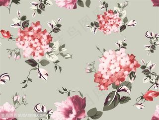 手绘花 绣球花 高清