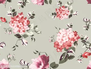 手绘花 绣球花 高清