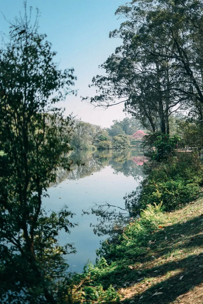 湖边美丽景色