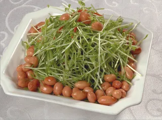 0806L-653茄汁松柳芽